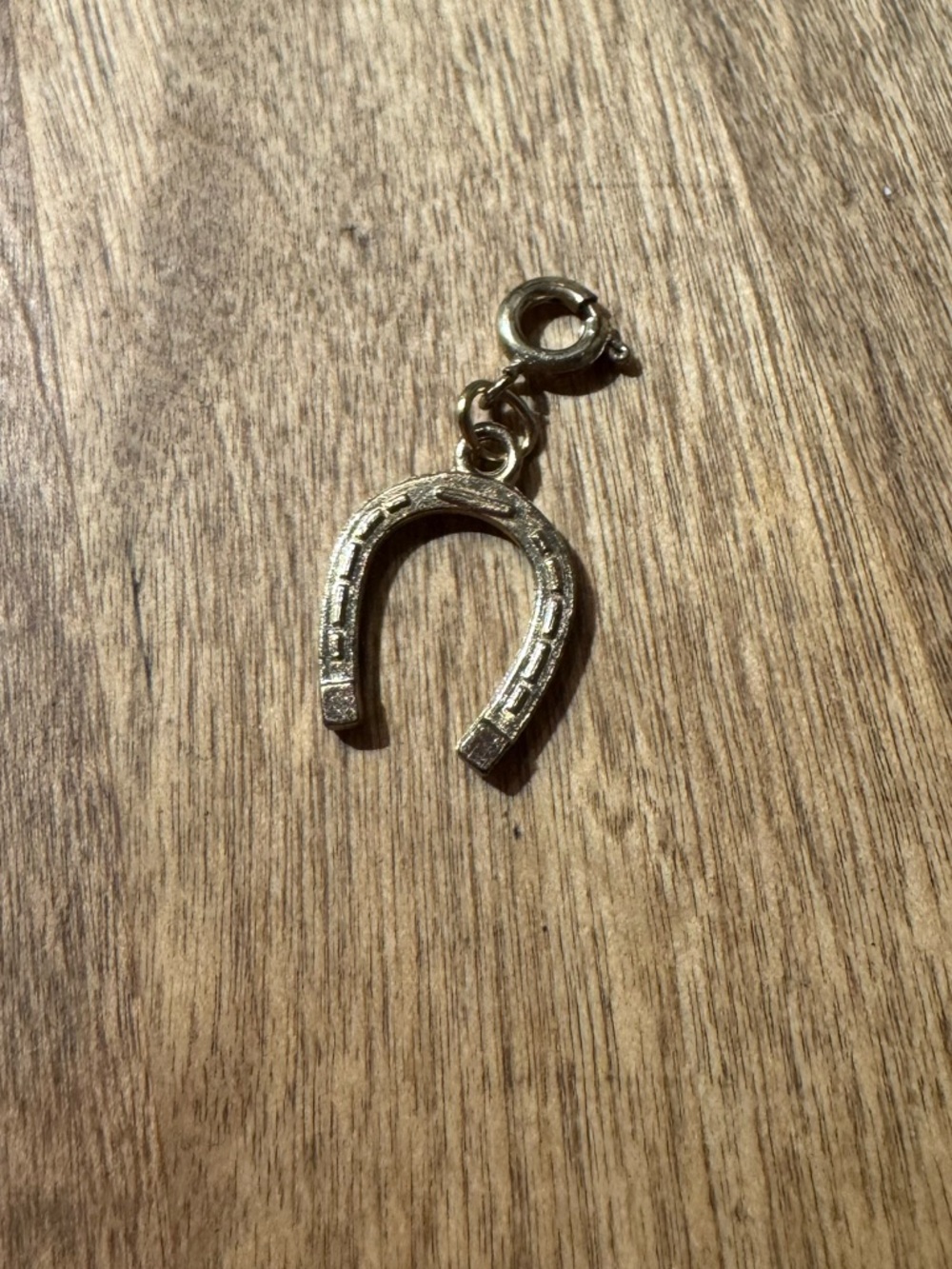 Horseshoe Charm Pendant in Metallic Gold - Picture 3 of 5